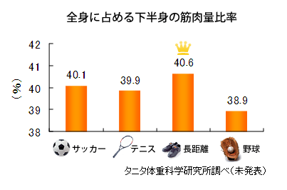 全身に占める下半身の筋肉量比率